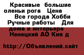 Красивые  большие оленьи рога › Цена ­ 3 000 - Все города Хобби. Ручные работы » Для дома и интерьера   . Ненецкий АО,Кия д.